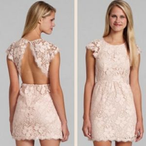 BCBGeneration Backless Lace Dress in Blush